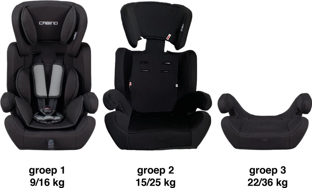 Autostoel 9-36kg Groep 1/2/3 - Zwart-Grijs | bol.com