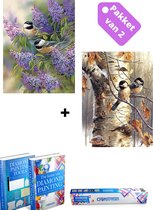 Crafterman™ Diamond Painting Volwassenen VOORDEEL SET VAN 2 STUKS - Vogels met bloemen & Vogels in de boom - 30x40cm - volledige bedekking - vierkante steentjes  - hobby pakket - Met 2 E-book