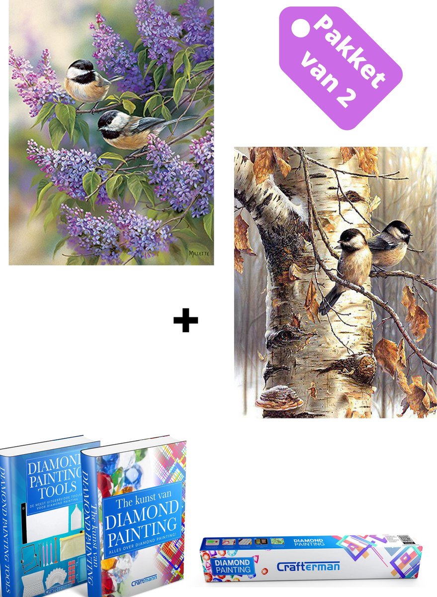 Crafterman™ Diamond Painting Volwassenen VOORDEEL SET VAN 2 STUKS - Vogels met bloemen & Vogels in de boom - 30x40cm - volledige bedekking - vierkante steentjes - hobby pakket - Met 2 E-books