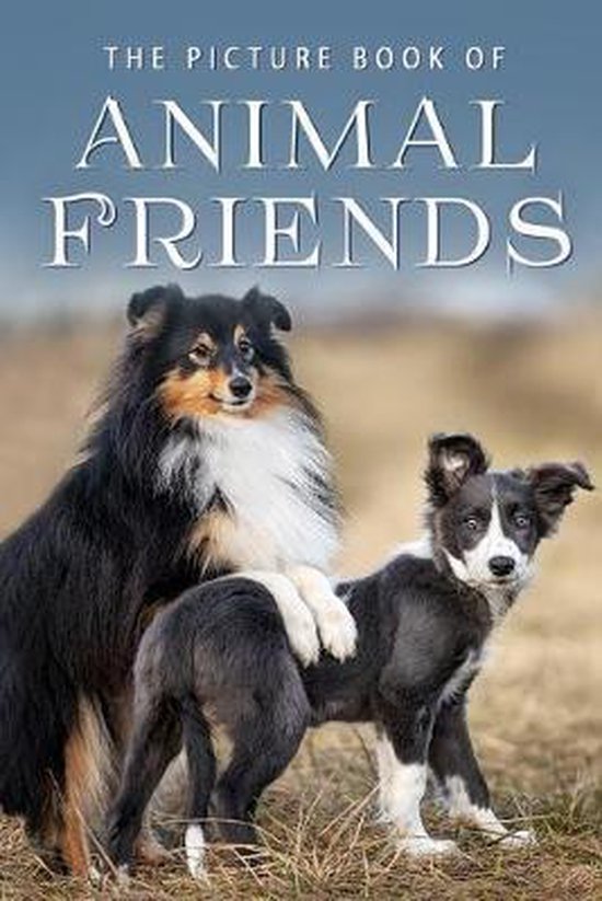 Picture Books - Animals-The Picture Book of Animal Friends - cover
