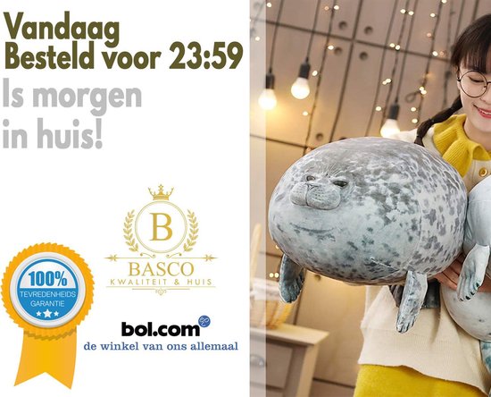 Gaby Zeehond (Grey Seal) Viskussen - Betaalbaar Duiken