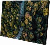 Snelweg door het bos | 90 x 60 CM | Natuur |Schilderij | Canvasdoek | Schilderij op canvas