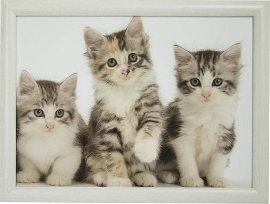 Schootkussen/laptray 3 katten/poezen kittens print 43 x 32 cm Kat/poes dieren... | bol.com