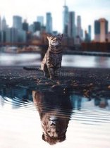 Evershine diamond painting voor volwassenen kat TA4-4609 vierkante steentjes 30 X 40