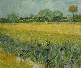 Vincent van Gogh, Veld Met Irissen Bij Arles, 1888 op canvas, afmetingen van dit schilderij zijn 45x100 cm