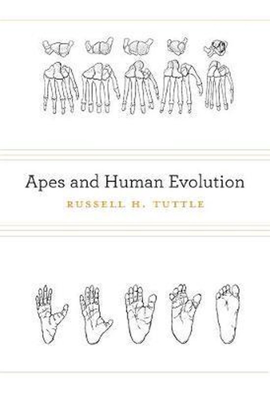 Apes and Human Evolution 9780674073166 Russell H. Tuttle Boeken