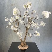 Seta Fiori - Sakura - kunstbloesem - plant / boom - wit - 75cm hoog - Rituals  - op echt hout -