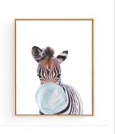 Postercity - Design Canvas Poster Baby  Zebra  Blauwe Kauwgom / Kinderkamer / Dieren Poster / Babykamer - Kinderposter / Babyshower Cadeau / Muurdecoratie / 50 x 40cm