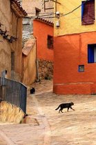 Quiet Spanish Village Street Journal: 150 Page Lined Notebook/Diary