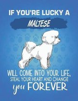 If You're Lucky A Maltese Will Come Into Your Life, Steal Your Heart And Change You Forever: Composition Notebook for Dog and Puppy Lovers