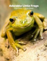 Adorable Frogs Full-Color Picture Book