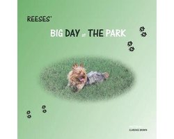 Reeses' BIG DAY at THE PARK