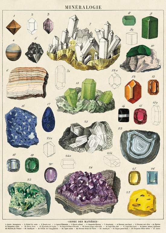 Cavallini & Co - Vintage poster/schoolplaat - Mineralen