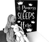 Babykamer tekstbord-A princess sleeps here-babykamer-kinderkamer-60x40 cm lxb