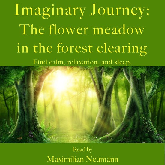 Imaginary Journey: The flower meadow in the forest clearing - cover