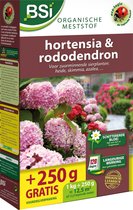 BSI Organische Meststof Bio Hortensia&Rododendron - Zuurmin. Planten Heidi, Azalea, Skimmia - Mooie Bloei Kali & Magnesium 1.25kg = 12.5m²