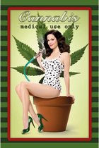 Wandbord - Cannabis Medical Use Only