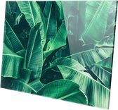 Bananenbladeren  | 150 x 100 CM | Wanddecoratie | Natuur  | Plexiglas | Schilderij op plexiglas