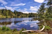 Tuinposter| Blauw meer aan de bosrand 120cm x 80cm– Tuinposter voor buiten / buitencanvas/ spandoek / tuinschilderij (tuindecoratie) + ringen om de 50cm