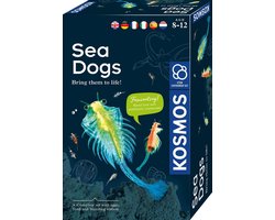 Kosmos Sea Dogs – Experimenteerset – Kweek je eigen pekelkreeftjes – Inclusief eitjes, zout en vergrootglas – Zoutwaterwezentjes ontdekken