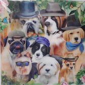 3D wenskaart - honden met hoed - Trendzz- 16 x16 cm