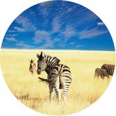 Grote ronde muursticker zebra's | safari wilde dieren | voor woonkamer en slaapkamer | wanddecoratie accessoires | cirkel afm. 80 x 80 cm
