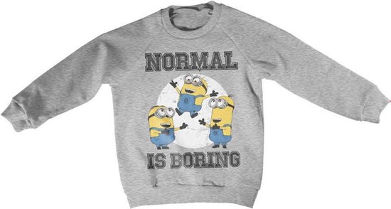 Minions Sweater/trui kids -Kids tm 10 jaar- Normal Life Is Boring Grijs