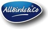 Allbirds & Co