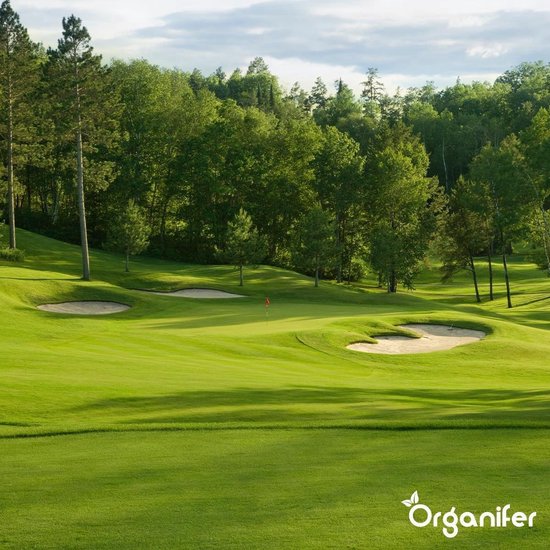 Een glooiende groene golfbaan met zandbunkers en een vlag op de green.
