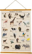 Bol Com Wandposter Alfabet Dieren Kinderkamer Dieren Poster Poster Alfabet Nederlands Leren