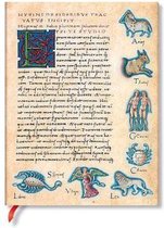 Paperblanks FleXis Astronomica De Sideribus Tractatus Notitieboek Ultra - Gelinieerd