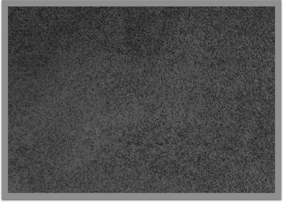 droogloop mat / schoonloop mat 60 x 80 cm collor grey