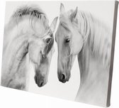 Witte paarden close up | 60 x 40 CM | Wanddecoratie | Dieren op canvas |Schilderij | Canvasdoek | Schilderij op canvas