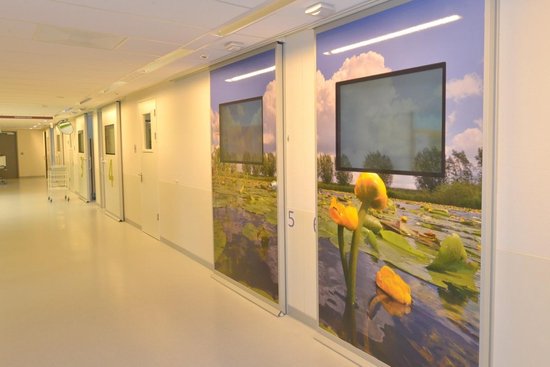 Papier peint photo Blooming Yellow Plomp 250 x 260 cm