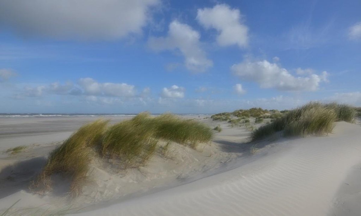 Fotobehang duinen en strand Schiermonnikoog 250 x 260 cm - € 175,--