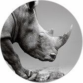 Neushoorn| 120 x 120 CM | Dieren op plexiglas | Wanddecoratie | Dieren Schilderij | 5 mm dik Plexiglas muurcirckel