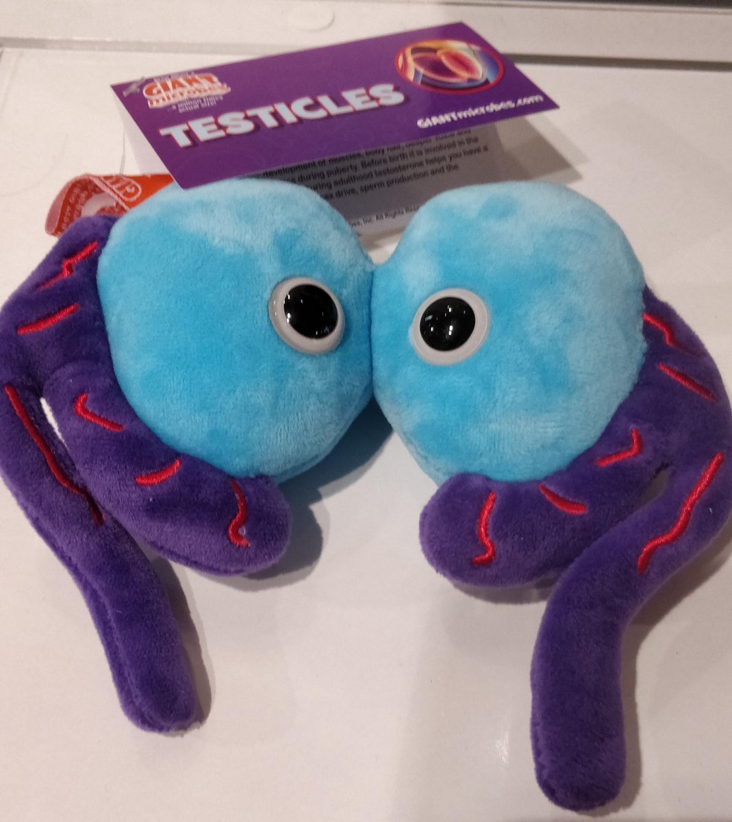 Testicles