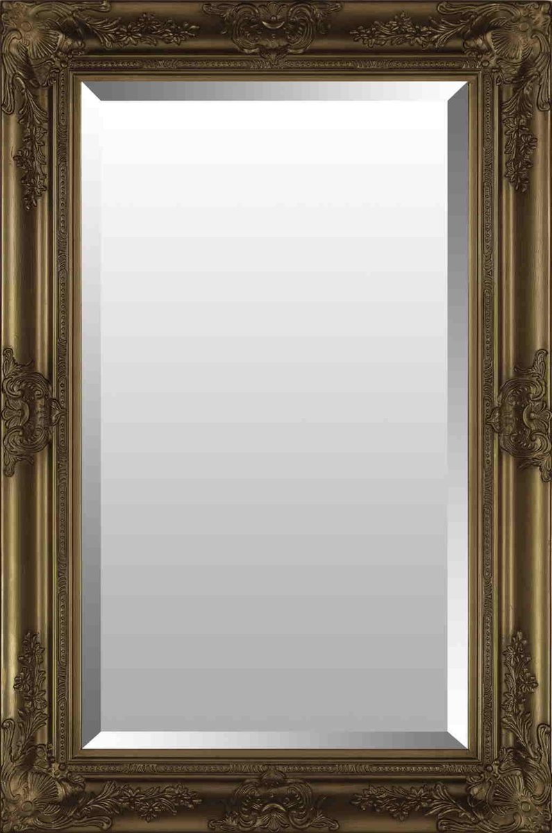 Miroir Baroque Or 60x150 cm - Pablo - Look Chique - Durable | bol.com