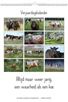 Blik op Holland Koeien & Spreuken Verjaardagskalender