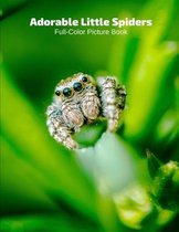 Adorable Little Spiders Full-Color Picture Book