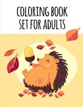 coloring book set for adults