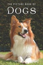 Picture Books - Animals-The Picture Book of Dogs