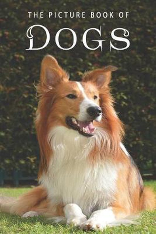 Picture Books - Animals-The Picture Book of Dogs - cover
