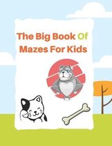 The Big Book Of Mazes For Kids