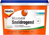 Alabastine Muurverf Sneldrogend - Wit - 5 liter