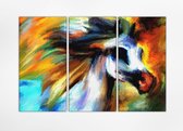 Braveprint - Schilderij - Paard Drie Verticale Panelen. % Uitgerekt Het Hoge Kwaliteit. Muurhanger Geïnstalleerd. - Multicolor - 80 X 120 Cm