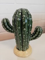 Cactus - Groen - 13 cm - Set van 2