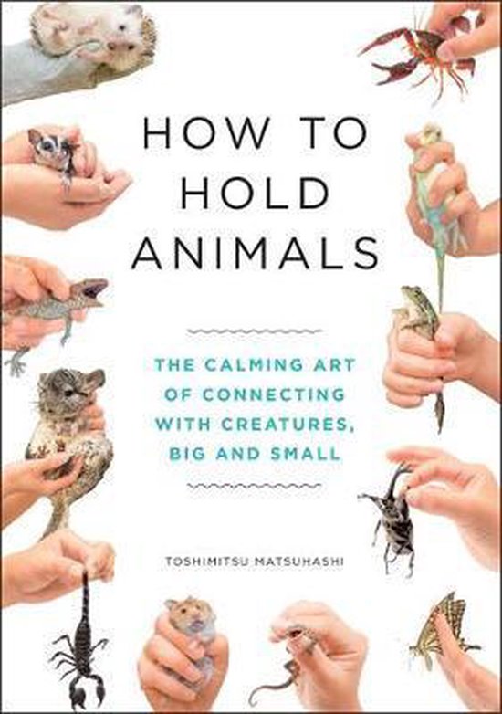 How to Hold Animals - cover