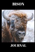 Bison Journal: Stunning picture of a Bison on a journal/Notebook/Diary to write in, draw in or doodle in. Will make a nice gift for f