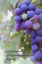 vin en conserve - La d�gustation quelque peu diff�rente: Un livre sur le vin � �crire soi-m�me